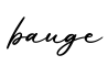 单词bauge书写