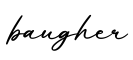 单词baugher书写