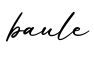 单词baule书写