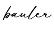 单词bauler书写