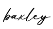 单词baxley书写