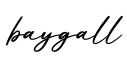 单词baygall书写