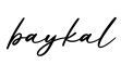 单词baykal书写