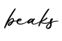 单词beaks书写