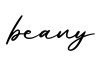 单词beany书写