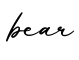 单词bear书写