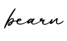 单词bearn书写