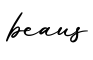 单词beaus书写