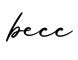单词becc书写