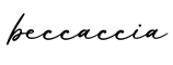 单词beccaccia书写
