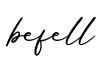 单词befell书写