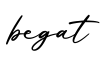 单词begat书写