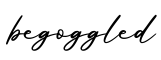 单词begoggled书写