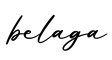 单词belaga书写