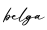 单词belga书写