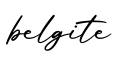 单词belgite书写
