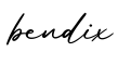 单词bendix书写