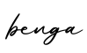 单词benga书写