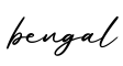 单词bengal书写