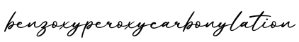 单词benzoxyperoxycarbonylation书写