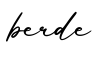 单词berde书写