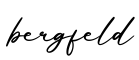 单词bergfeld书写