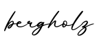 单词bergholz书写