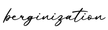 单词berginization书写