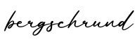 单词bergschrund书写