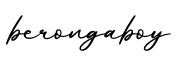 单词berongaboy书写