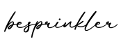 单词besprinkler书写