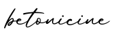 单词betonicine书写
