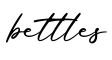 单词bettles书写