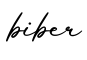 单词biber书写