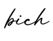 单词bich书写