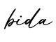 单词bida书写