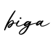 单词biga书写