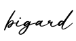 单词bigard书写