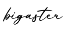 单词bigaster书写