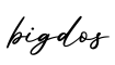 单词bigdos书写
