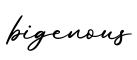单词bigenous书写