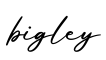 单词bigley书写