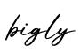 单词bigly书写