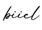 单词biicl书写