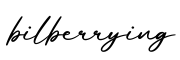 单词bilberrying书写