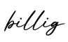 单词billig书写