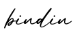 单词bindin书写