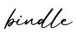 单词bindle书写