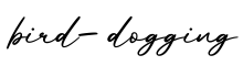 单词bird-dogging书写