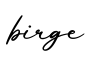 单词birge书写